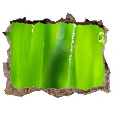 Fototapet 3D gaură în perete Tineri ovăz