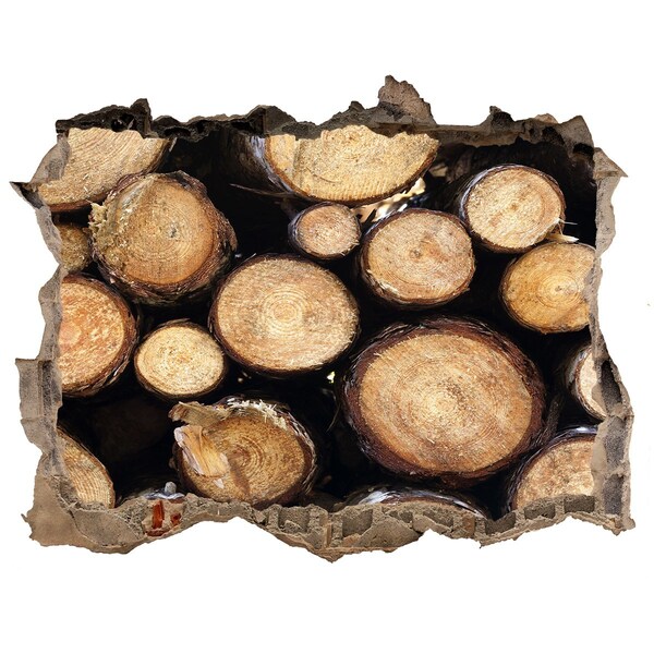 Autocolant 3D gaura cu priveliște Lemn într-o gaură în perete