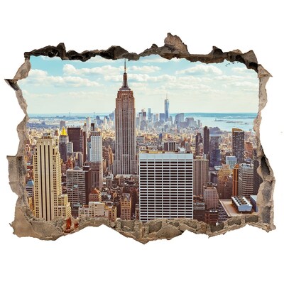 Autocolant autoadeziv gaură New york pasăre de zbor