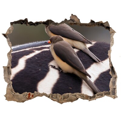 Autocolant un zid spart cu priveliște Păsări pe spatele unei zebre