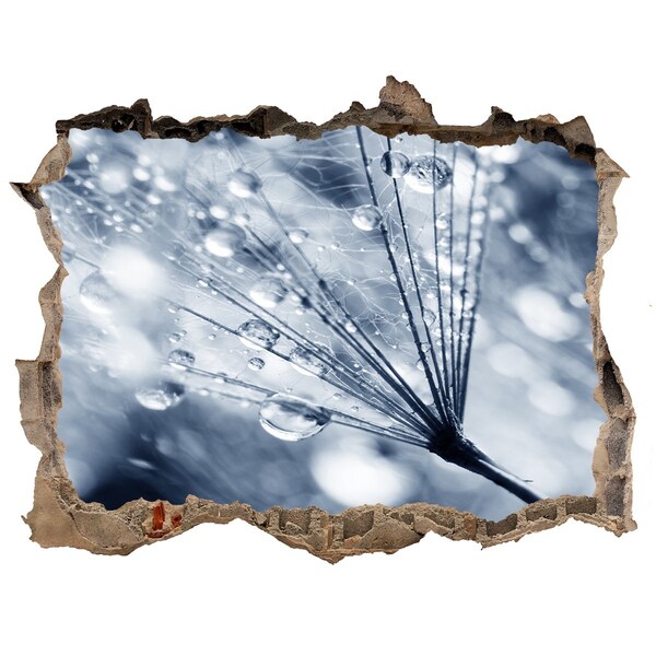 Autocolant autoadeziv gaură Picături de rouă pe o păpădie