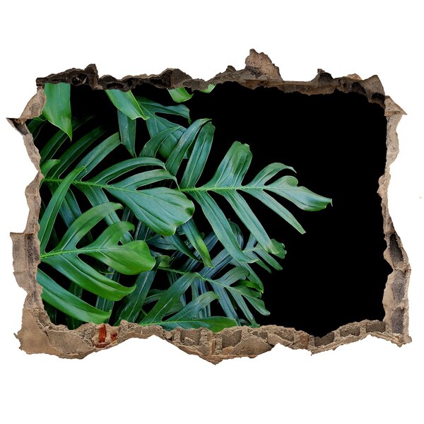 Fototapet 3D gaură în perete Monstera