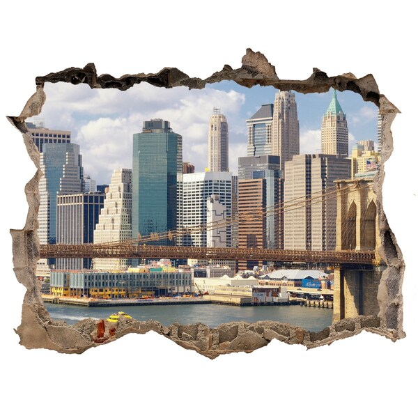 Fototapet 3D gaură în perete Manhattan new york city