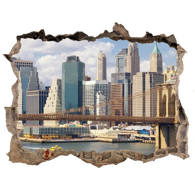 Fototapet 3D gaură în perete Manhattan new york city