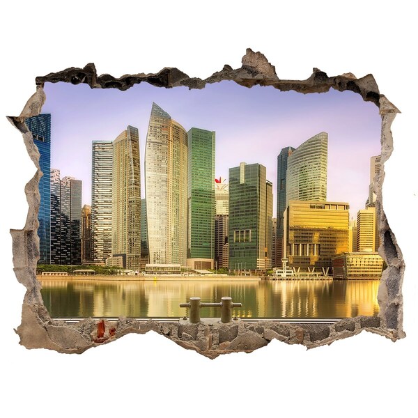 Autocolant de perete gaură 3D Singapur