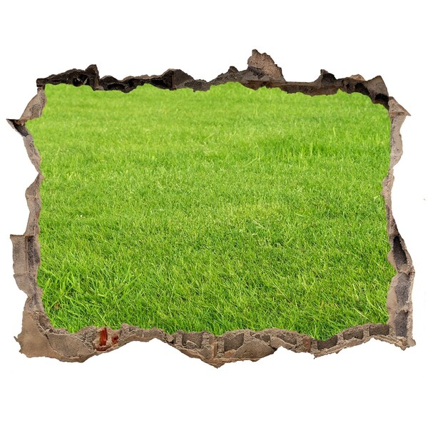 Autocolant de perete gaură 3D Iarbă verde