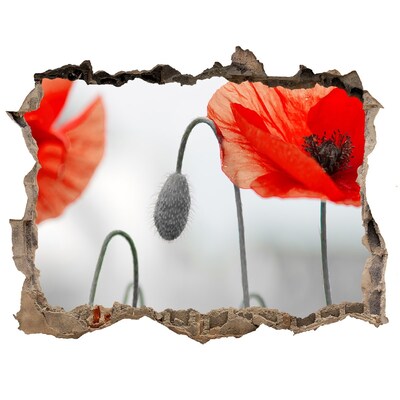 Autocolant 3D gaura cu priveliște Flori într-o gaură în perete