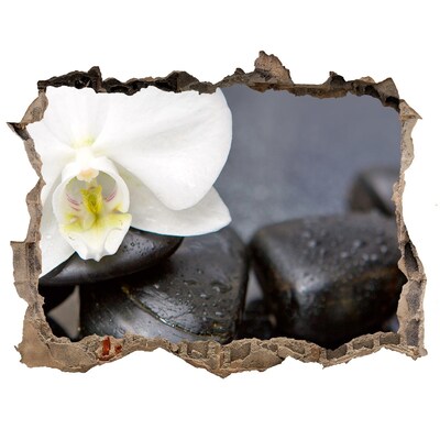 Autocolant 3D gaura cu priveliște Flori și pietre în spa