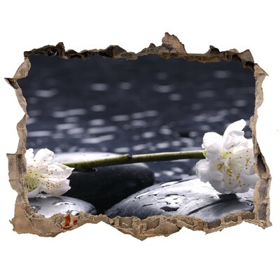 Autocolant 3D gaura cu priveliște Flori pe pietre