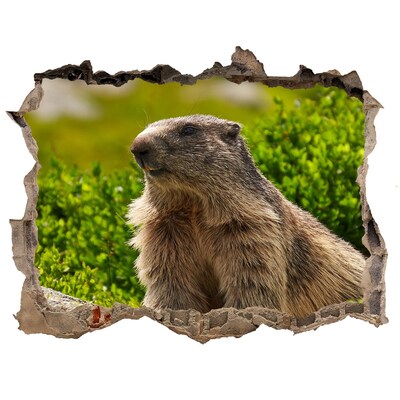 Autocolant de perete gaură 3D Marmota în sălbăticie