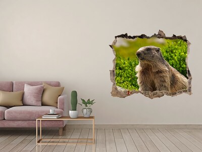 Autocolant de perete gaură 3D Marmota