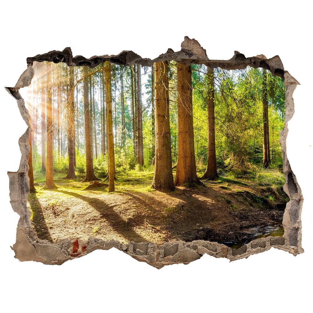 Fototapet 3D gaură în perete Panorama de pădure