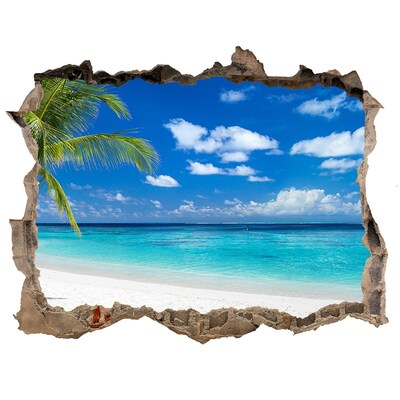 Fototapet 3D gaură în perete Plaja tropicala