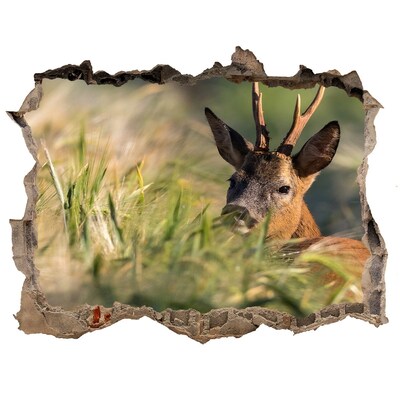 Autocolant de perete gaură 3D Deer în domeniu