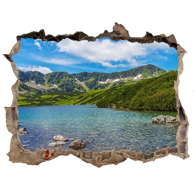 Autocolant gaură 3D Tatra valley