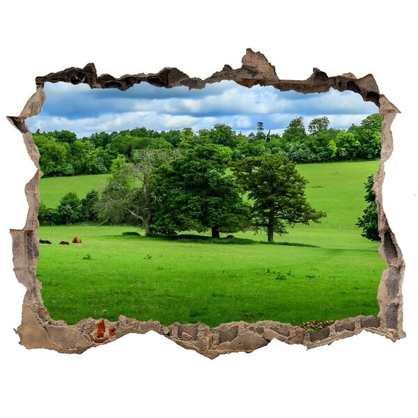 Fototapet 3D gaură în perete Dealuri verzi