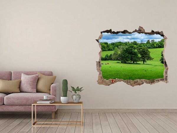Fototapet 3D gaură în perete Dealuri verzi