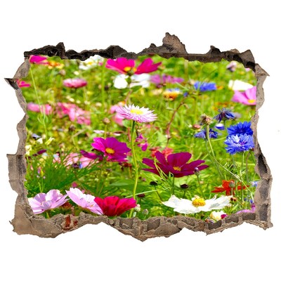Autocolant gaură 3D Flori de câmp