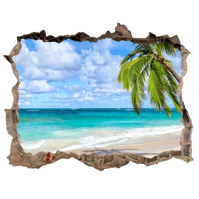 Fototapet 3D gaură în perete Plaja tropicala