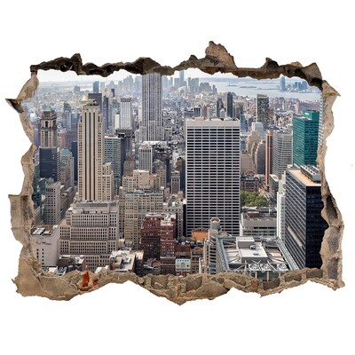 Fototapet 3D gaură în perete New york
