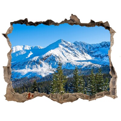 Autocolant un zid spart cu priveliște Panorama tatra