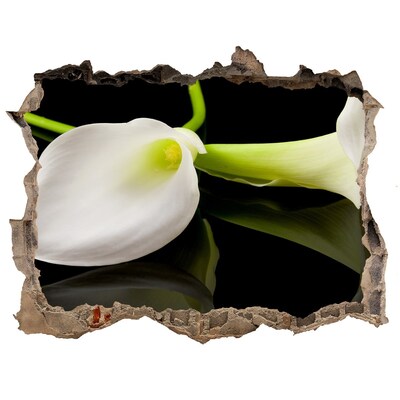 Fototapet un zid spart cu priveliște Floare în beton