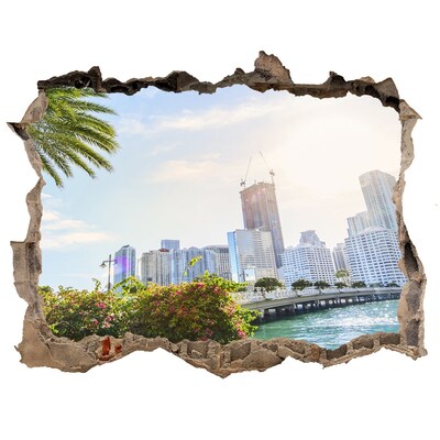 Fototapet 3D gaură în perete Miami statele unite ale americii