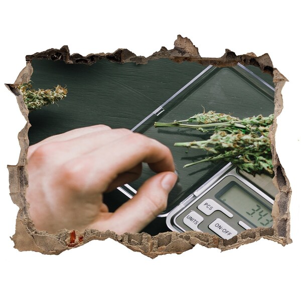 Autocolant 3D gaura cu priveliște Marijuana topuri