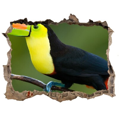 Fototapet un zid spart cu priveliște Toucan