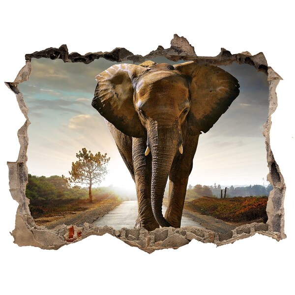 Autocolant 3D gaura cu priveliște Elefant de mers pe jos