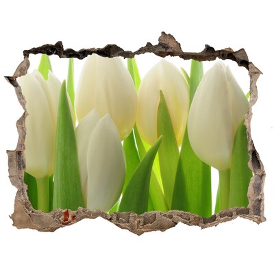 Fototapet un zid spart cu priveliște Lalele