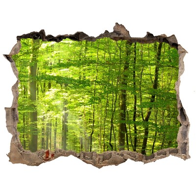 Autocolant gaură 3D Pădure de foioase