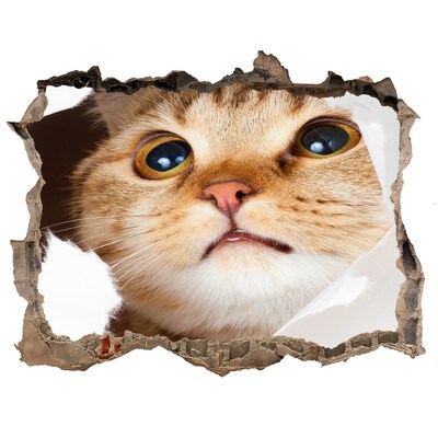 Autocolant autoadeziv gaură Cat în gaura
