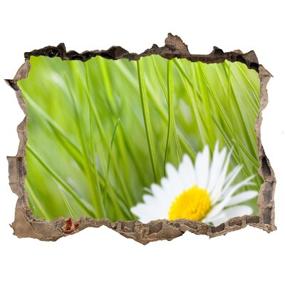 Autocolant 3D gaura cu priveliște Margarete
