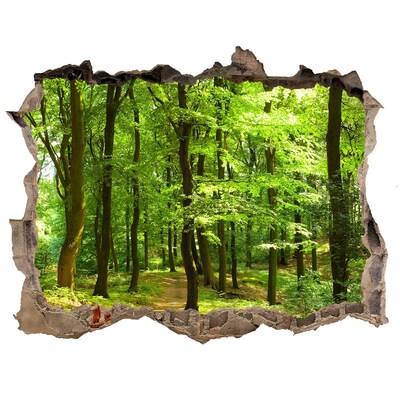 Fototapet 3D gaură în perete Pădurea verde în razele soarelui