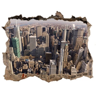 Fototapet 3D gaură în perete New york pasăre de zbor