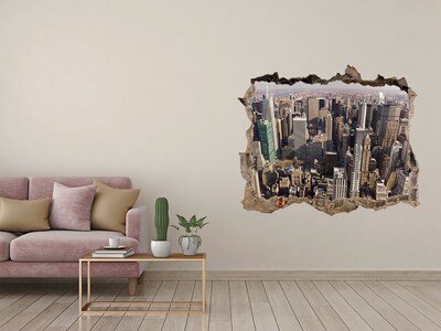 Fototapet 3D gaură în perete New york pasăre de zbor