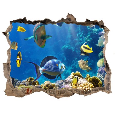 Fototapet 3D gaură în perete Recif de corali