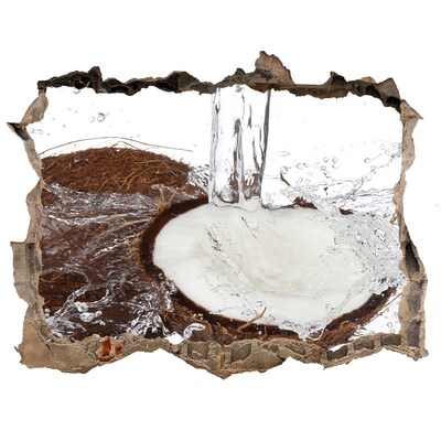 Fototapet 3D gaură în perete Nucă de cocos într-un șuvoi de apă