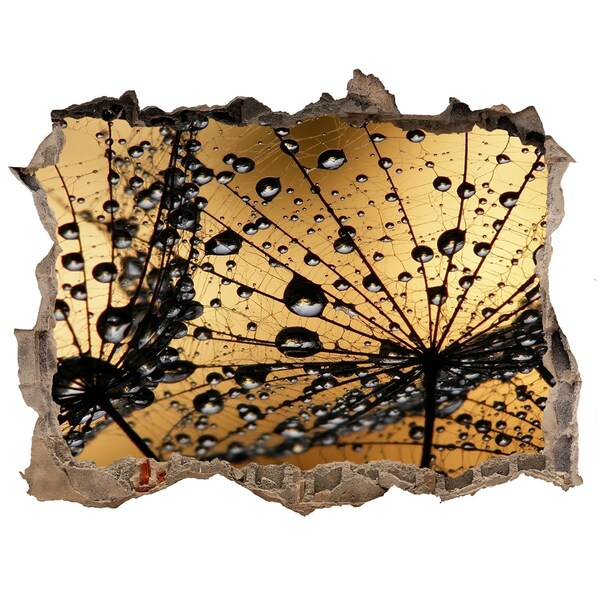 Fototapet un zid spart cu priveliște Picături pe frunze