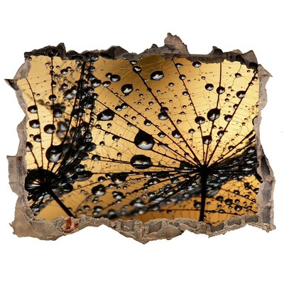 Fototapet un zid spart cu priveliște Picături pe frunze