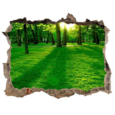 Autocolant gaură 3D Parc verde în soare