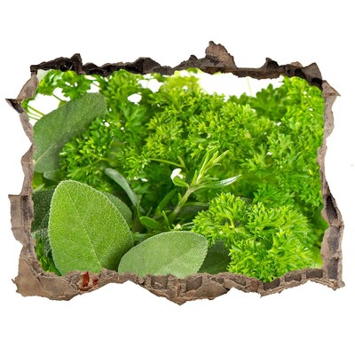 Autocolant 3D gaura cu priveliște O oază verde în beton