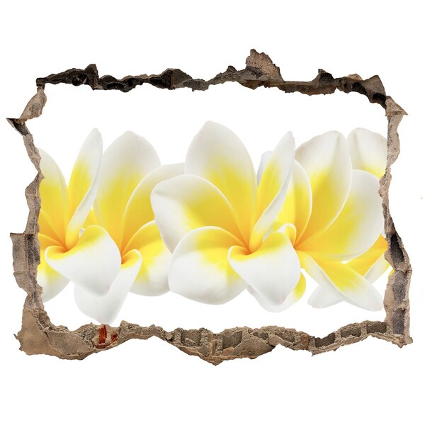 Fototapet 3D gaură în perete Plumeria