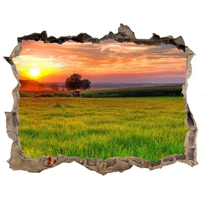 Autocolant gaură 3D Sunset meadow