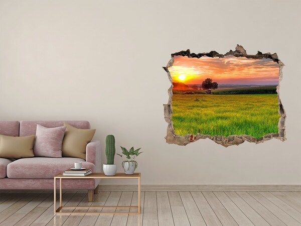 Autocolant gaură 3D Sunset meadow