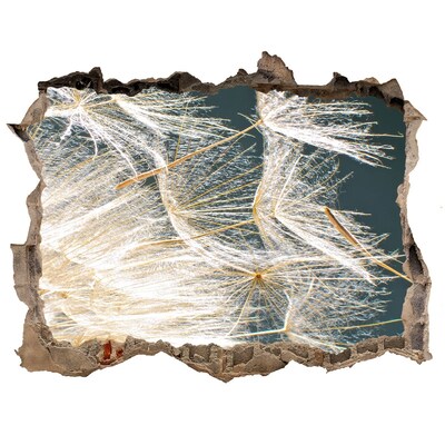 Autocolant 3D gaura cu priveliște Un peisaj floral în spatele găurii