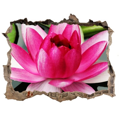 Autocolant 3D gaura cu priveliște Floare de lotus într-o gaură din perete