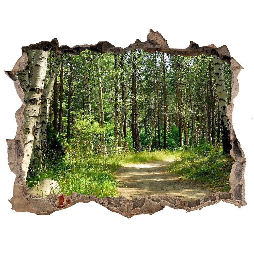 Autocolant autoadeziv gaură Calea în pădure