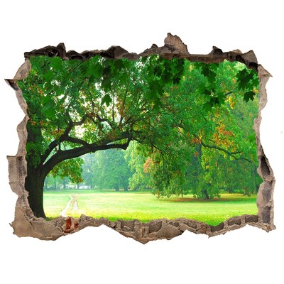 Autocolant de perete gaură 3D Parc verde la soare